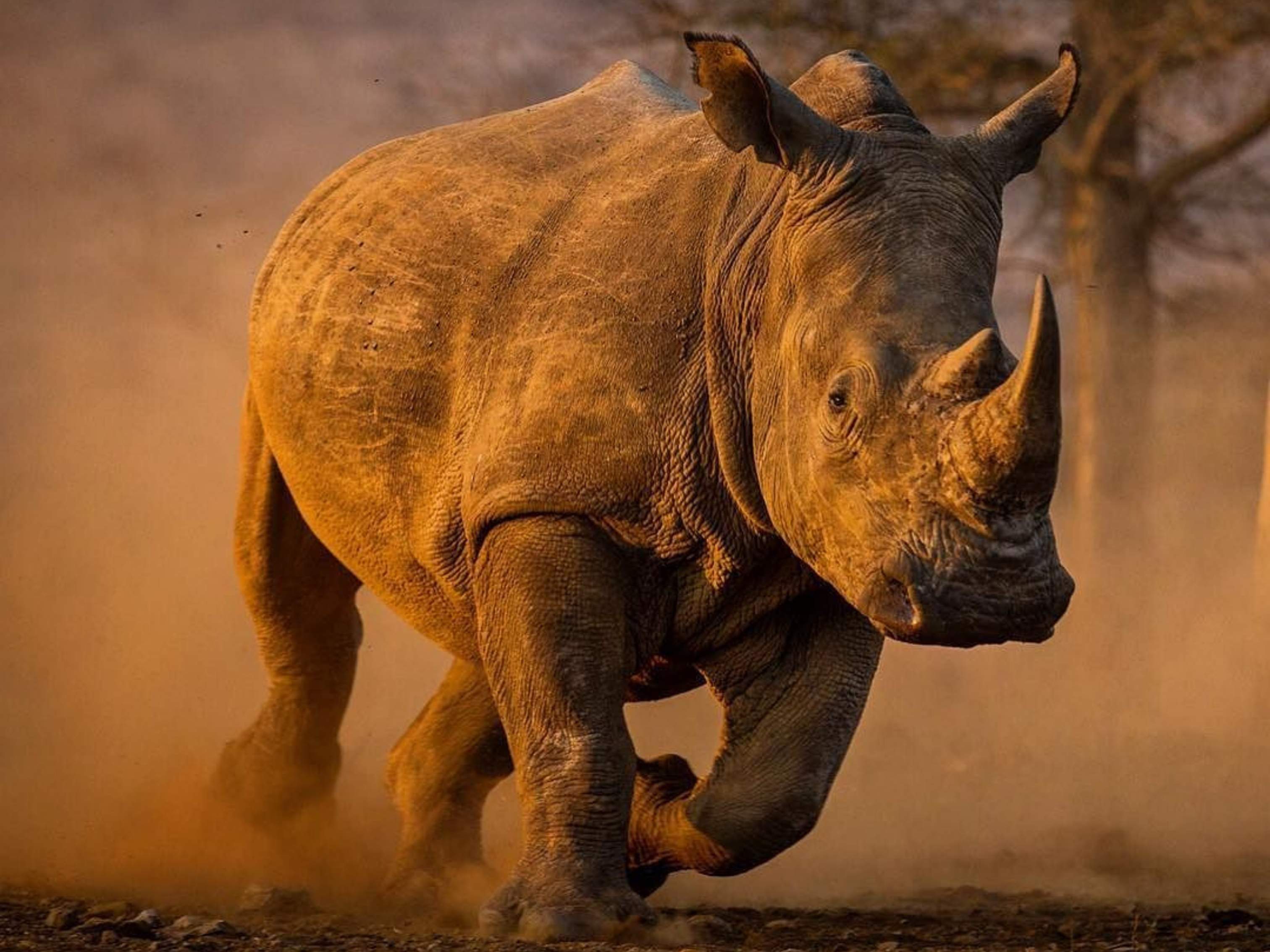 Ujung Kulon National Park